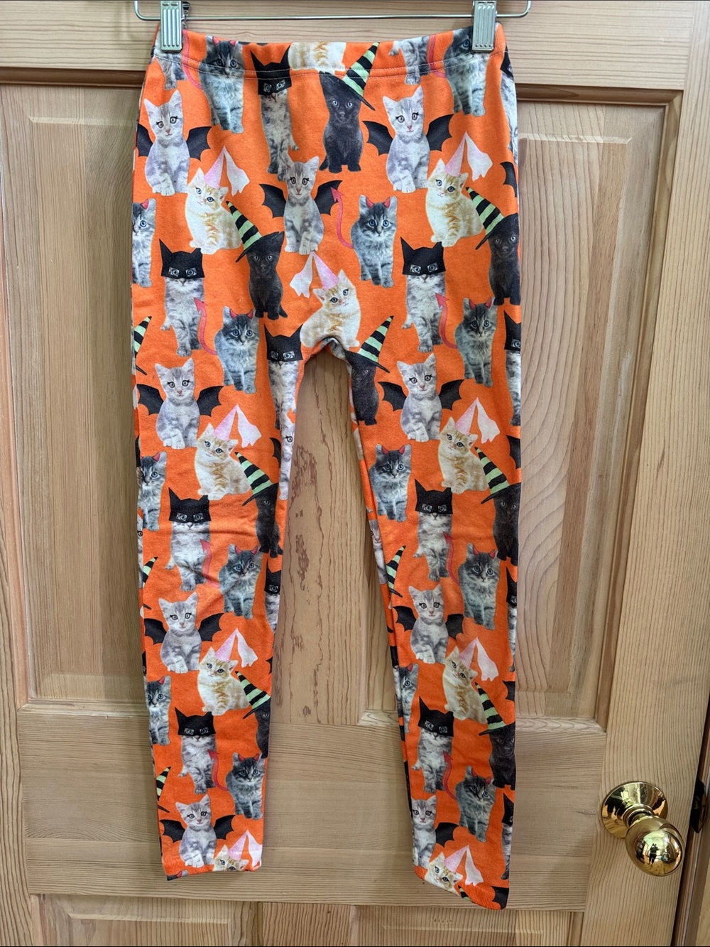 Capelli of New York Orange Halloween Cat Print Leggings